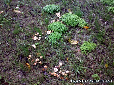 Riassunto met� Novembre  2