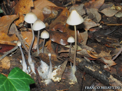 Riassunto met� Novembre  2