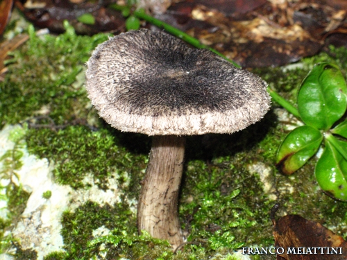 Riassunto met� Novembre  2