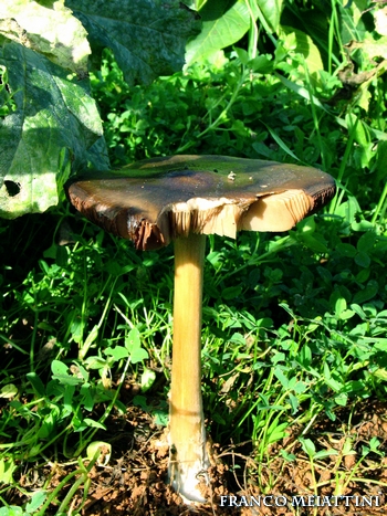 Riassunto met� Novembre  2