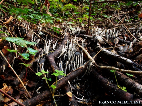 Riassunto met� Novembre  2