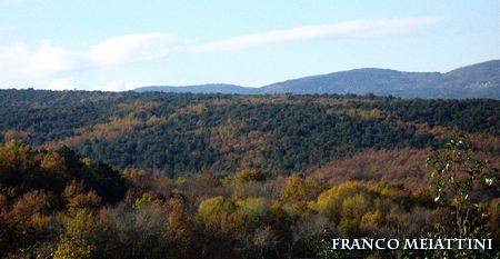 Riassunto met� Novembre  2