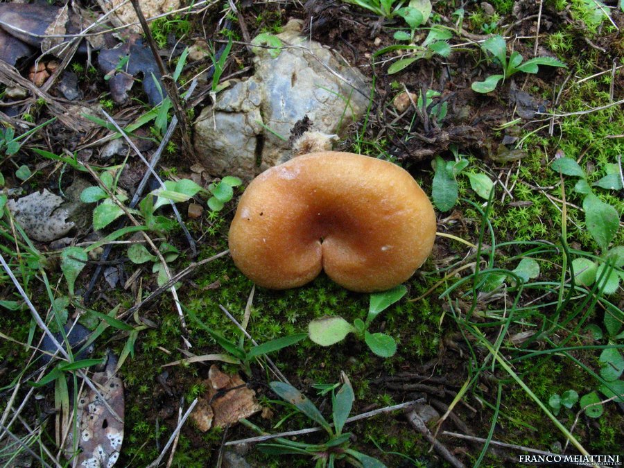 Ritrovamenti Gennaio 2009