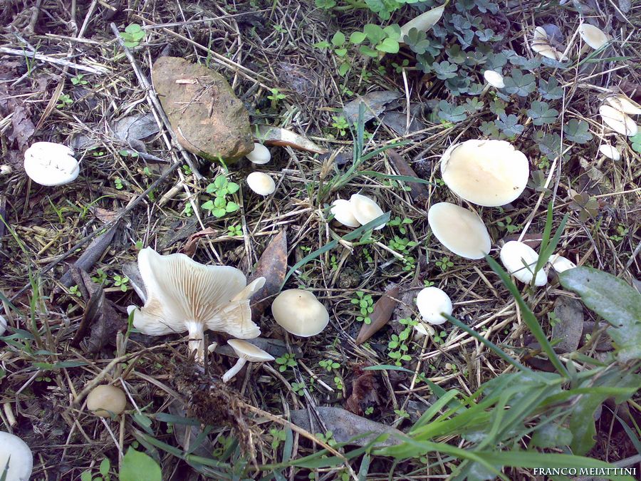 Riassunto met� Novembre