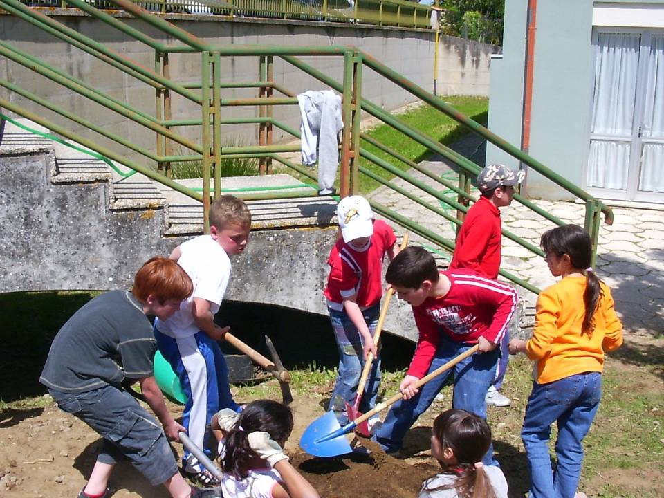 Progetti pratici di educazione ambientale