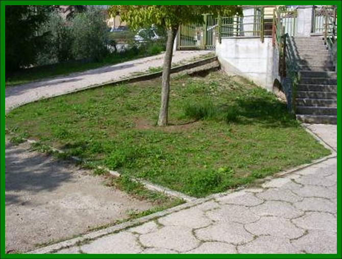 Progetti pratici di educazione ambientale