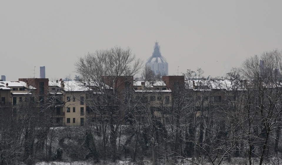 Pavia vestita di grigio