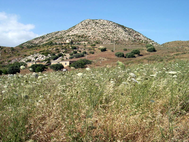 Cernuella (xeroamanda) caruanae