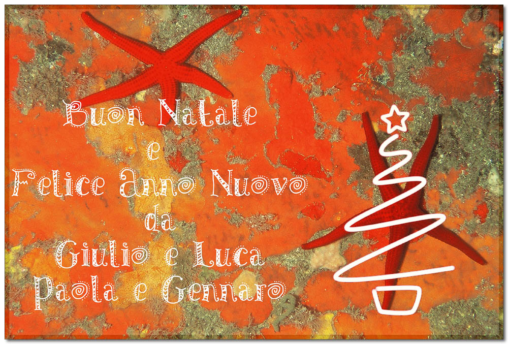 AUGURI
