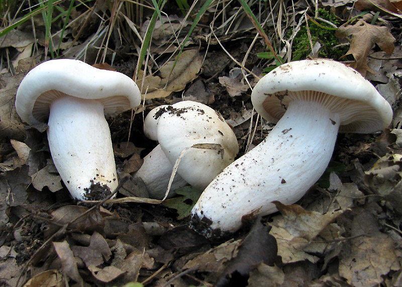 Un paio di giri nell''Appennino modenese