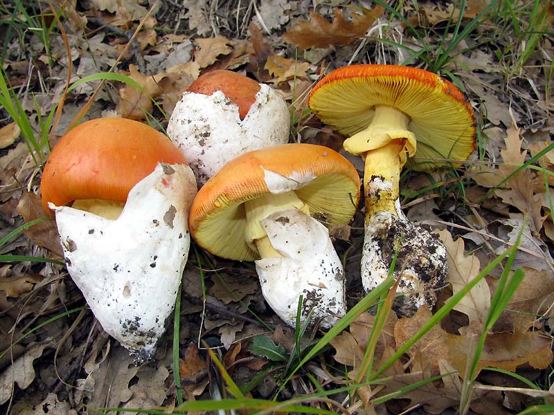 Un paio di giri nell''Appennino modenese