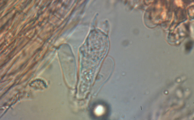 un bellissimo autunno inoltrato