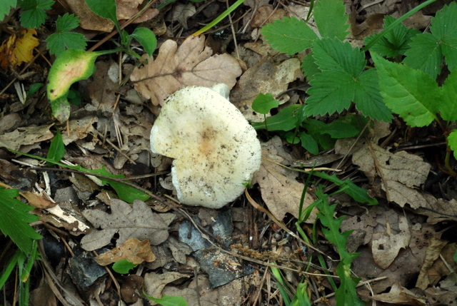 Uscita del 18 Cima di Tuoro (PG)