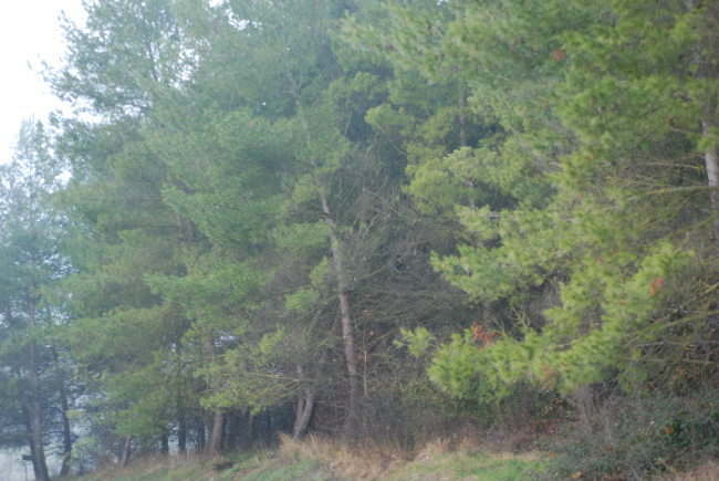 uscita prima della nevicata