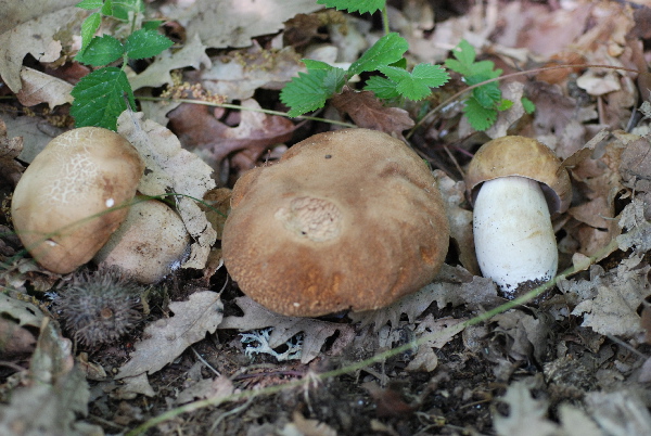 uscita 26 maggio 2009 in cerrina