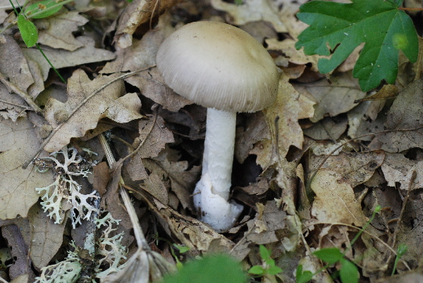 uscita 26 maggio 2009 in cerrina