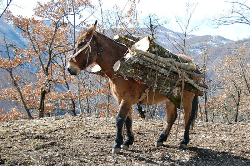 panorami umbri