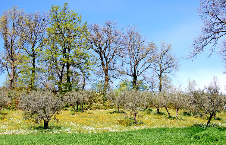 panorami umbri
