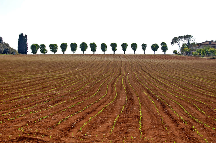 panorami umbri