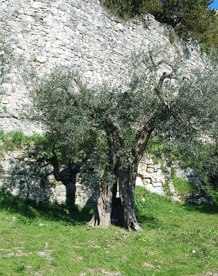 panorami umbri
