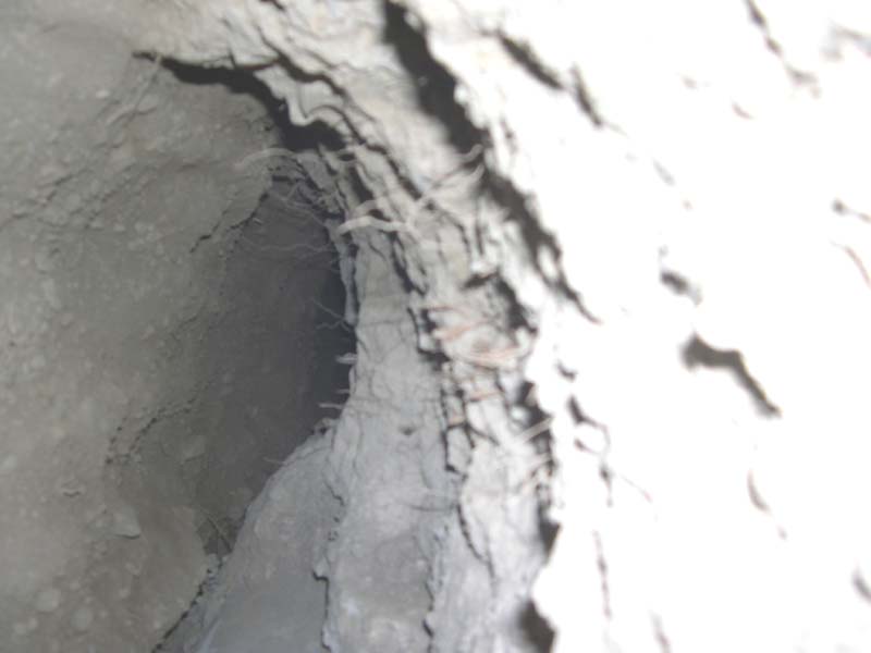 Di chi � questa tana?