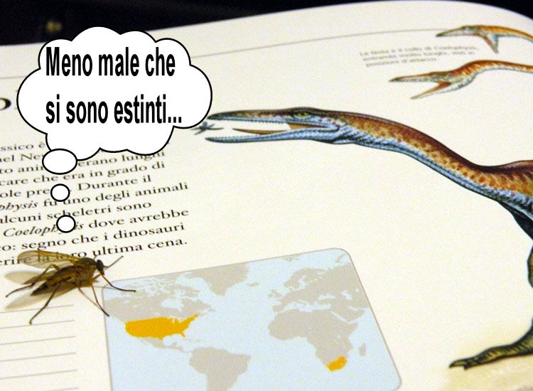 Attenta ai dinosauri!