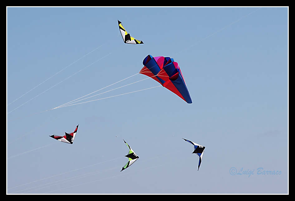 Mobbing interspecifico