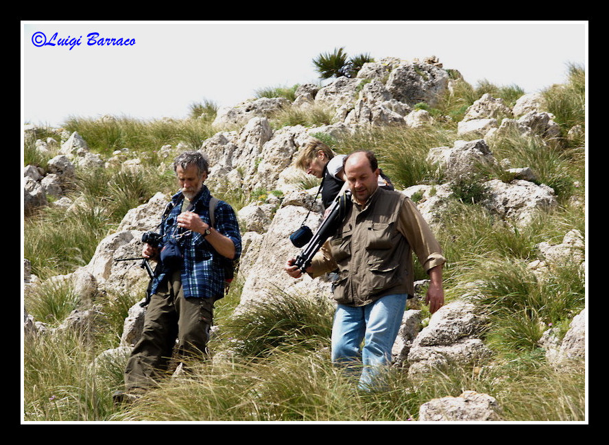 A caccia di orchidee sul Cofano!!!
