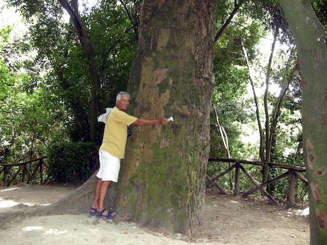 Gigante sardo