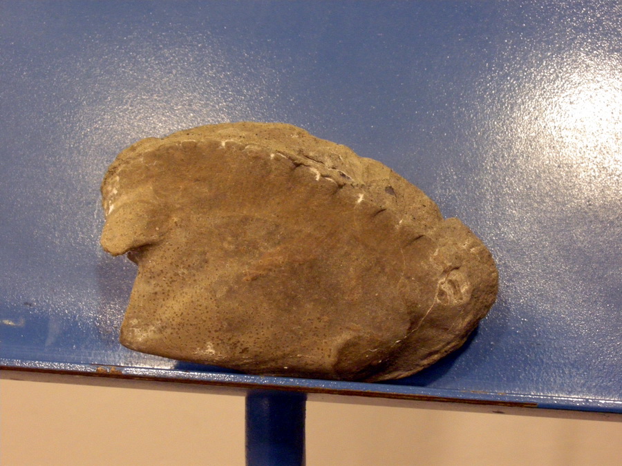 Aiuto identificazione