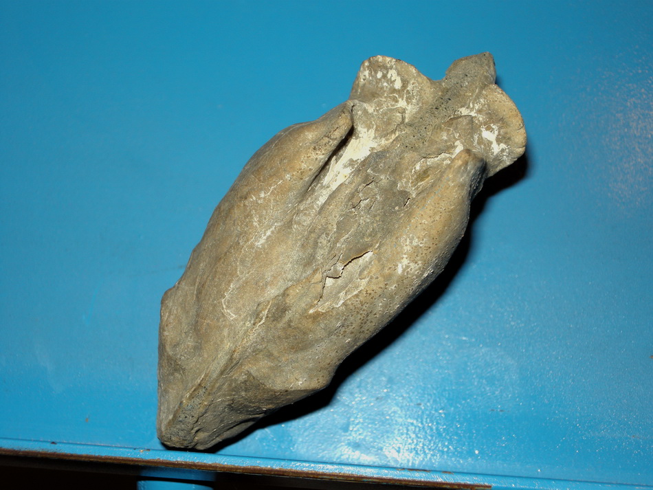 Aiuto identificazione