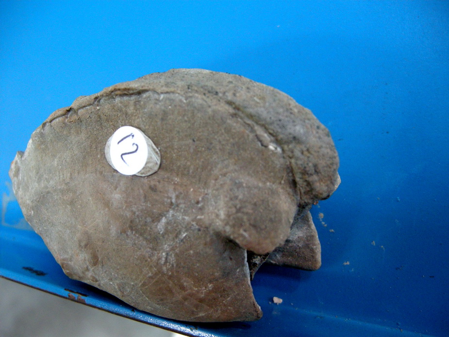 Aiuto identificazione