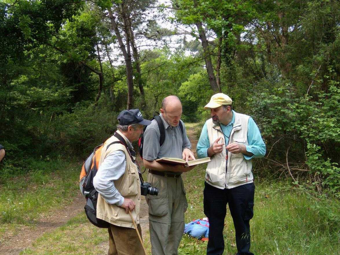 Escursione NM nella divina foresta spessa e viva