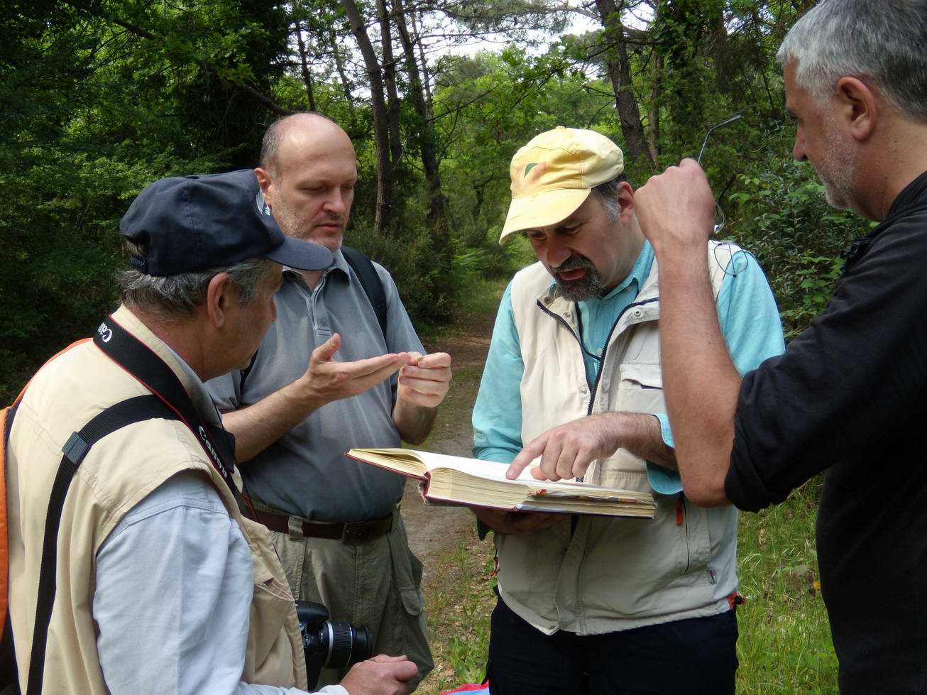Escursione NM nella divina foresta spessa e viva