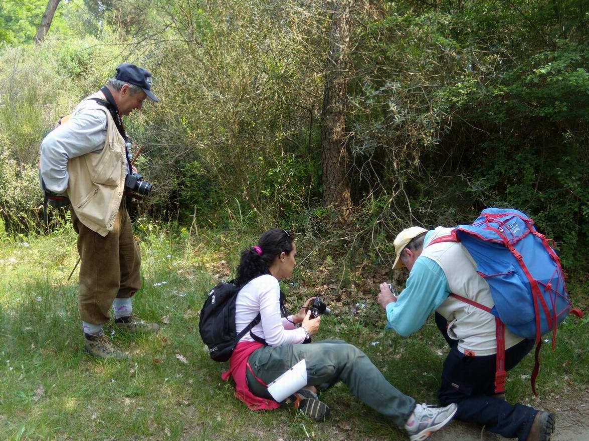 Escursione NM nella divina foresta spessa e viva