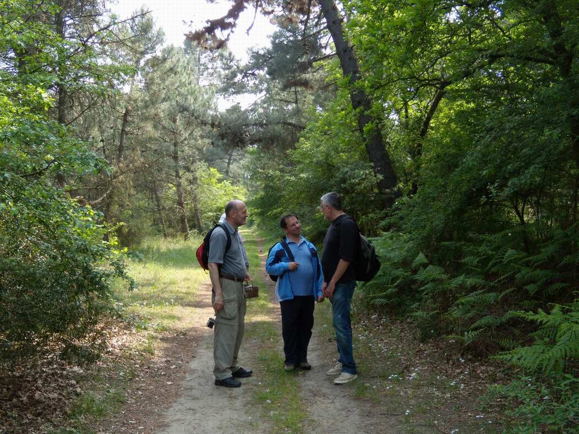 Escursione NM nella divina foresta spessa e viva