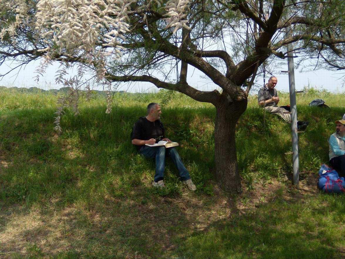 Escursione NM nella divina foresta spessa e viva