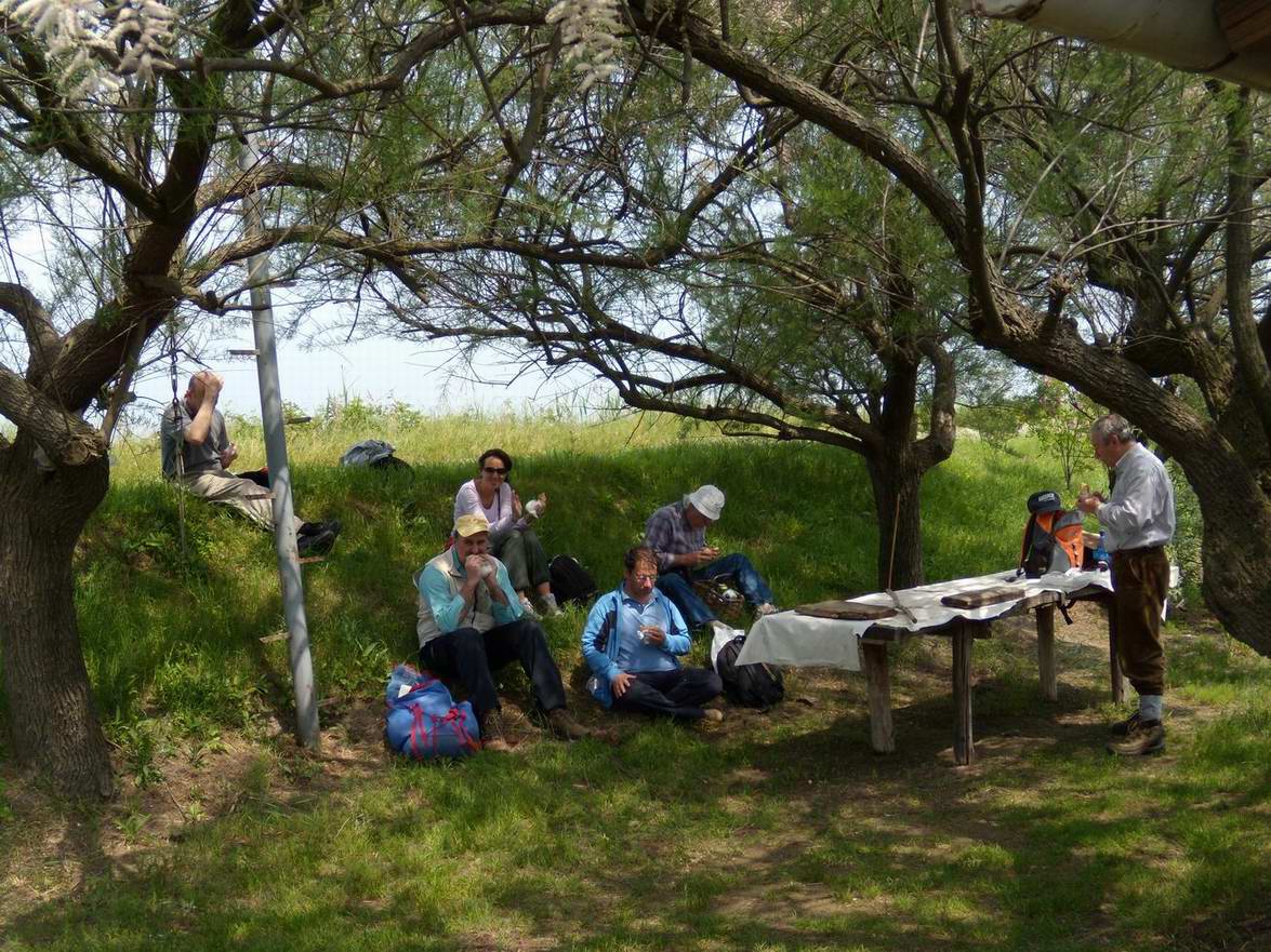 Escursione NM nella divina foresta spessa e viva