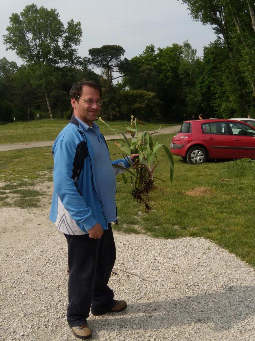 Escursione NM nella divina foresta spessa e viva