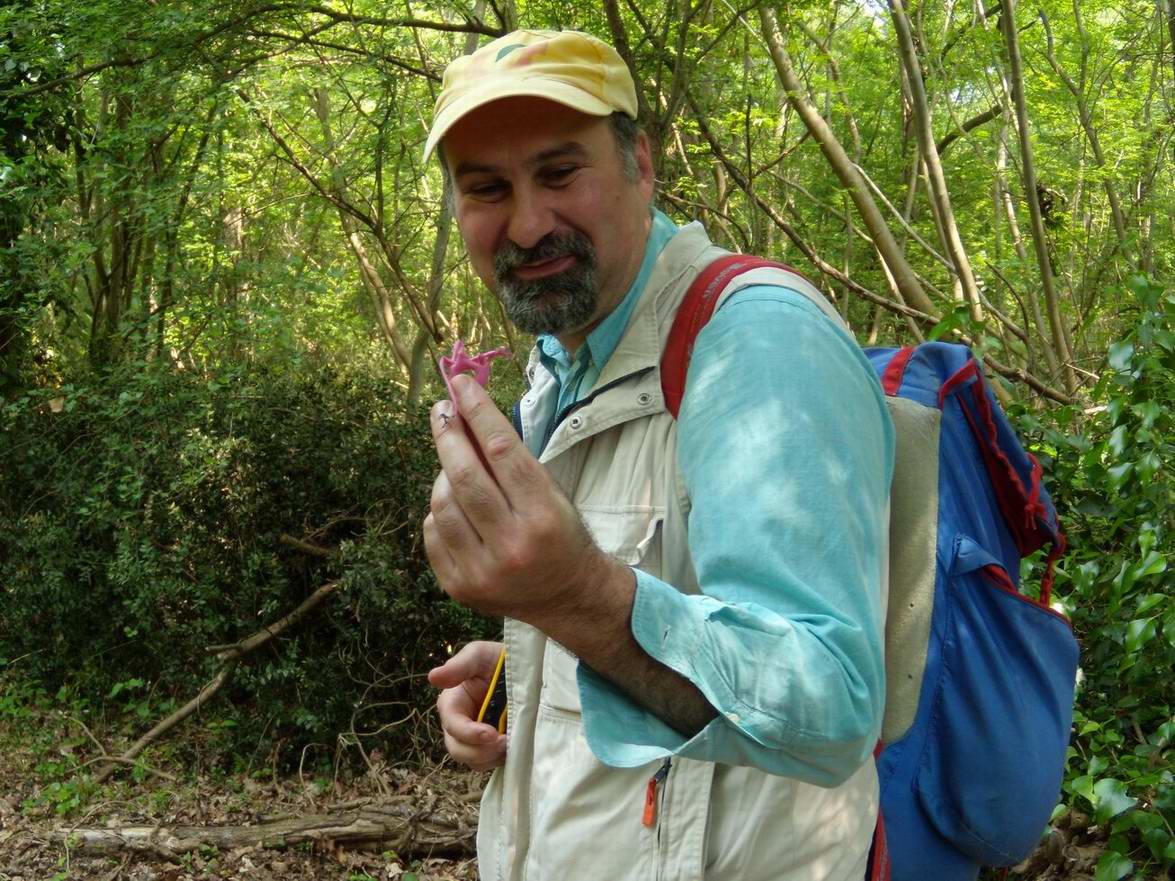 Escursione NM nella divina foresta spessa e viva