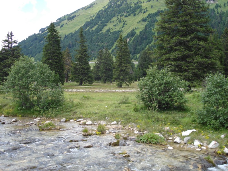 Torbiera di Pian Segno - Valle di Blenio -Svizzera