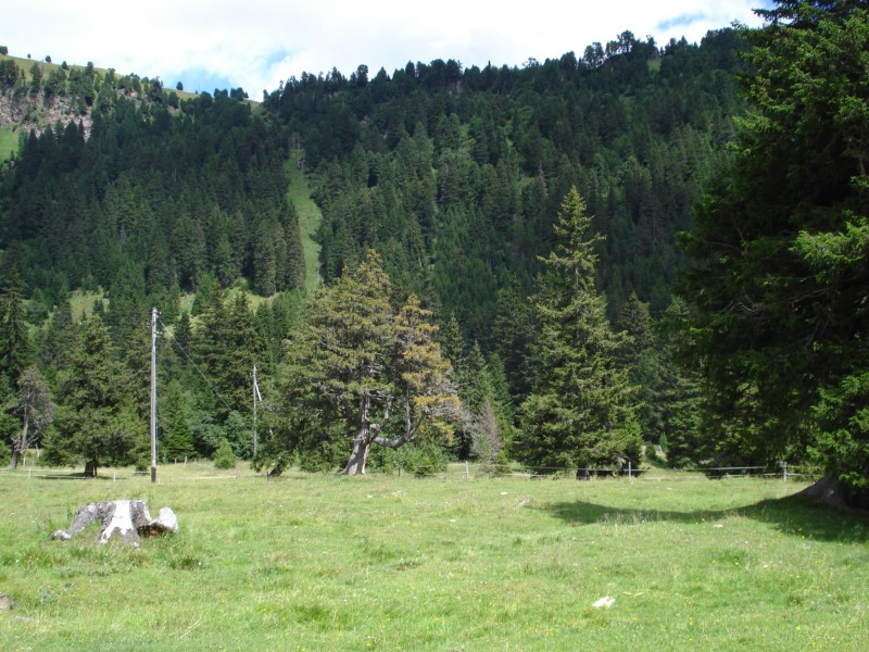 Torbiera di Pian Segno - Valle di Blenio -Svizzera