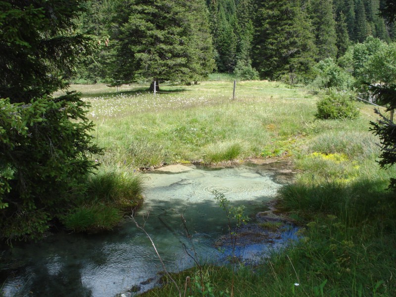 Torbiera di Pian Segno - Valle di Blenio -Svizzera
