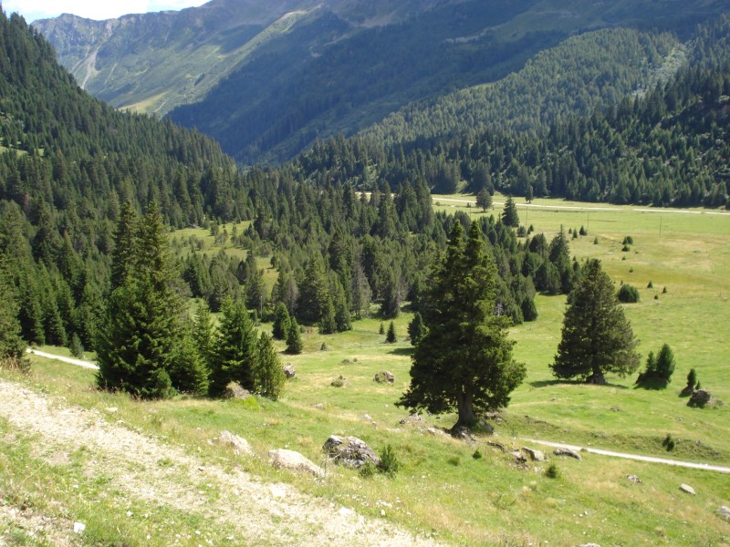 Torbiera di Pian Segno - Valle di Blenio -Svizzera