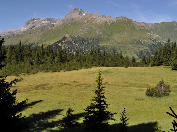 Escursione all''Alp Flix - Torbiera di Lai Neir (Svizzera)