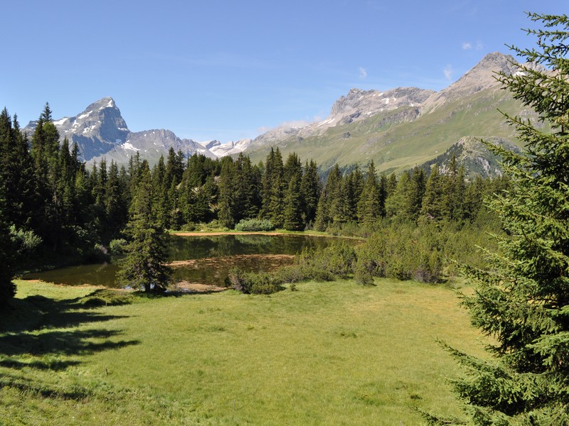 Escursione all''Alp Flix - Torbiera di Lai Neir (Svizzera)