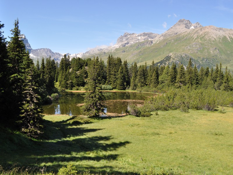 Escursione all''Alp Flix - Torbiera di Lai Neir (Svizzera)