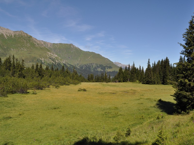 Escursione all''Alp Flix - Torbiera di Lai Neir (Svizzera)