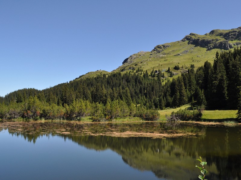 Escursione all''Alp Flix - Torbiera di Lai Neir (Svizzera)