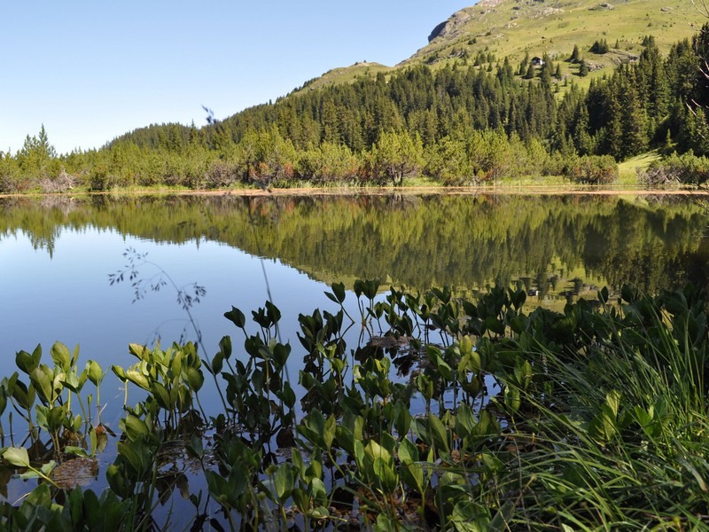 Escursione all''Alp Flix - Torbiera di Lai Neir (Svizzera)